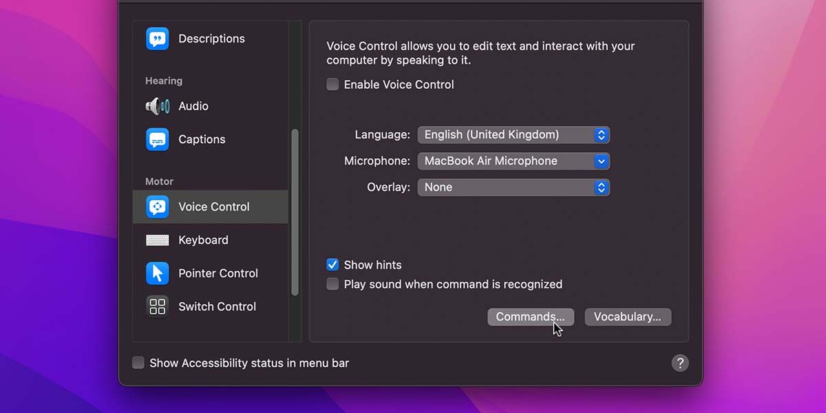 Commands Button in Voice Control Accessibility