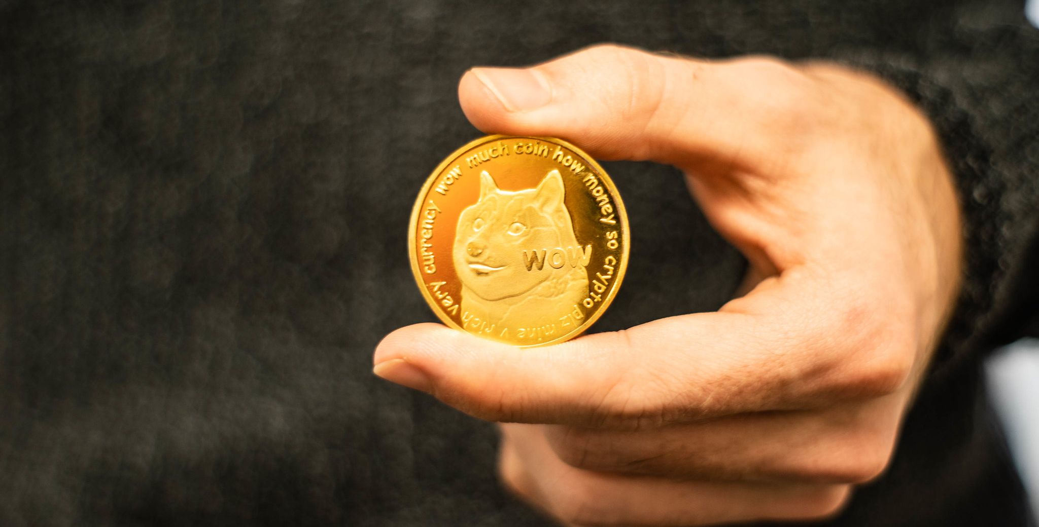 person holding dogecoin in hand