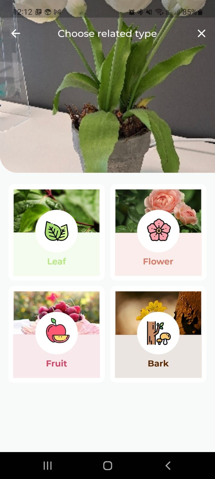 leafsnap plant identification mobile app plant types