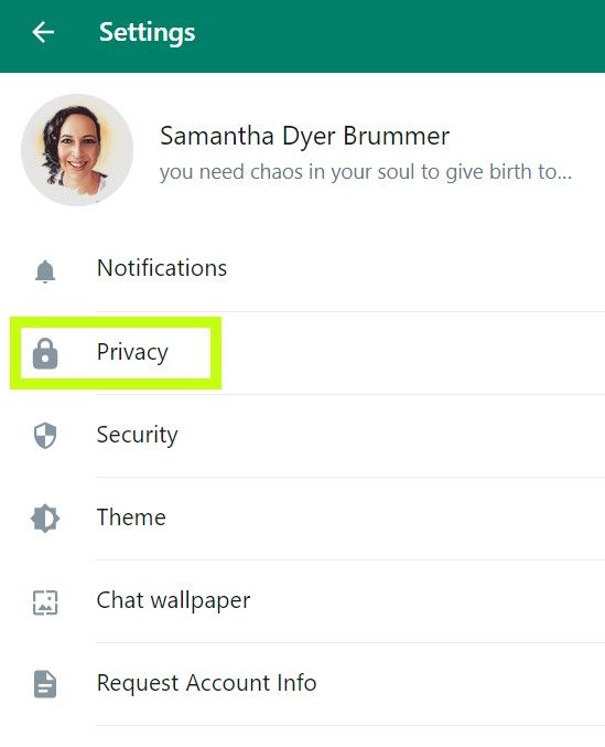 WhatsApp Web menu options with green highlight box around Privacy