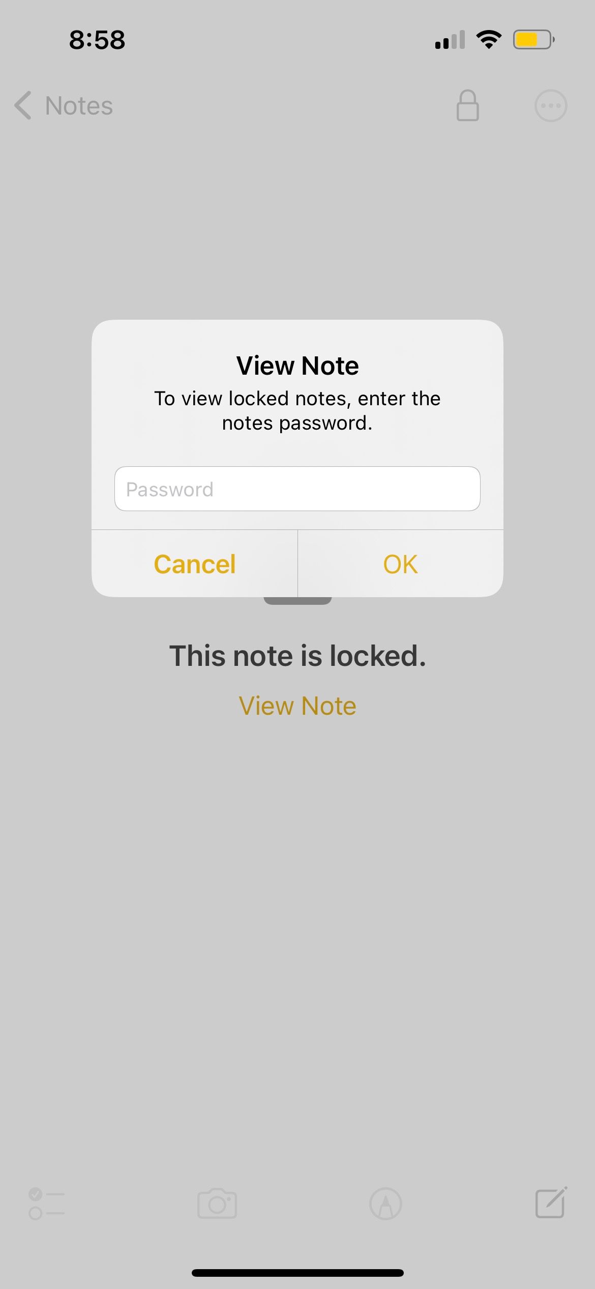 enter password to view locked note on iphone