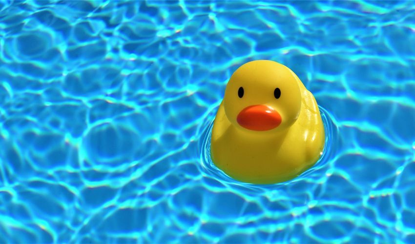 rubber duck in water