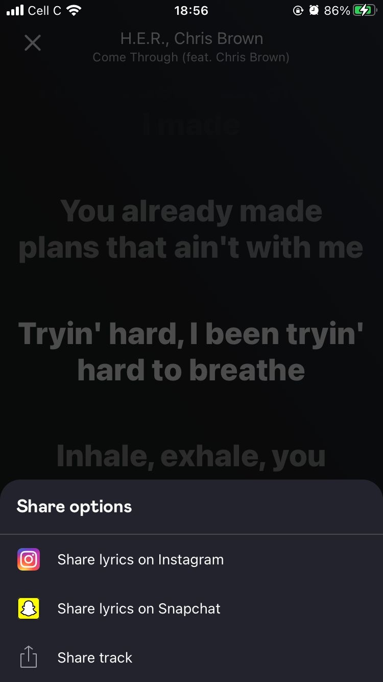 screenshot of lyric sharing options for come through song on deezer