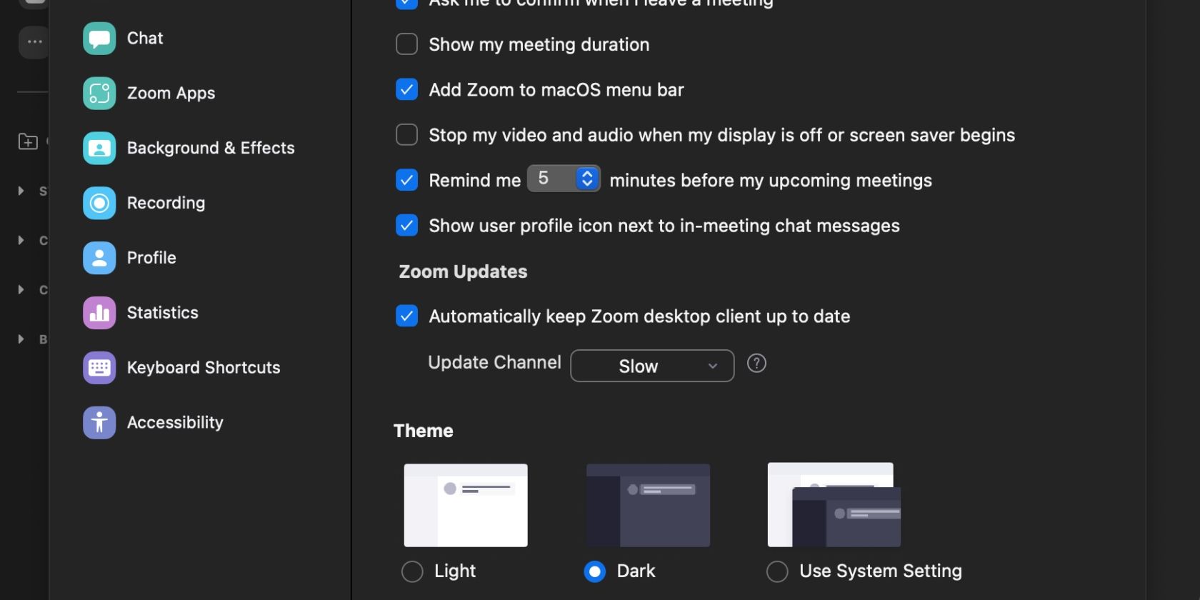 screenshot of settings page on zoom