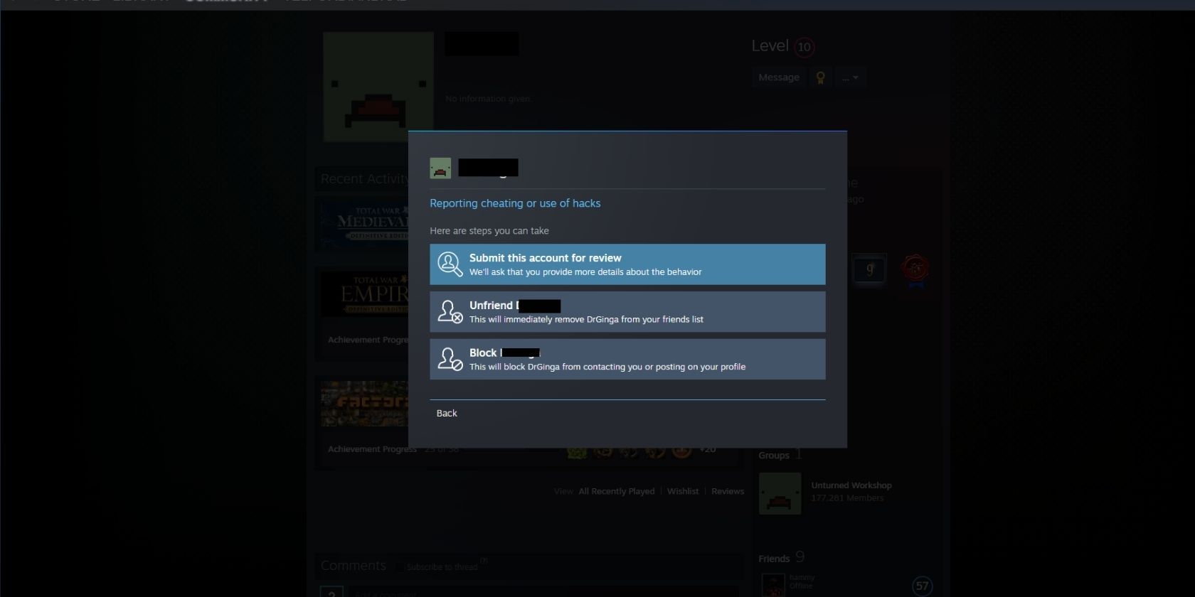 The Report Player menu on the Steam desktop client