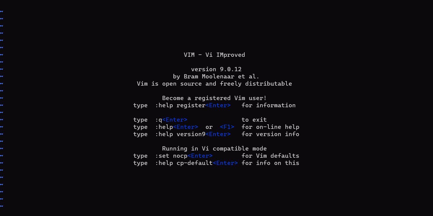 Vim 9.0 در ترمینال اجرا می شود
