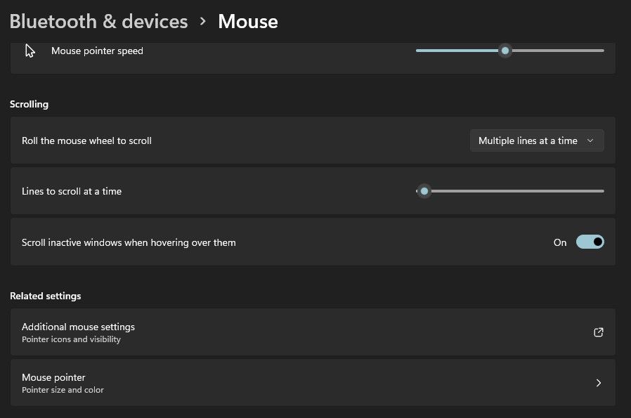 Additional Mouse Settings