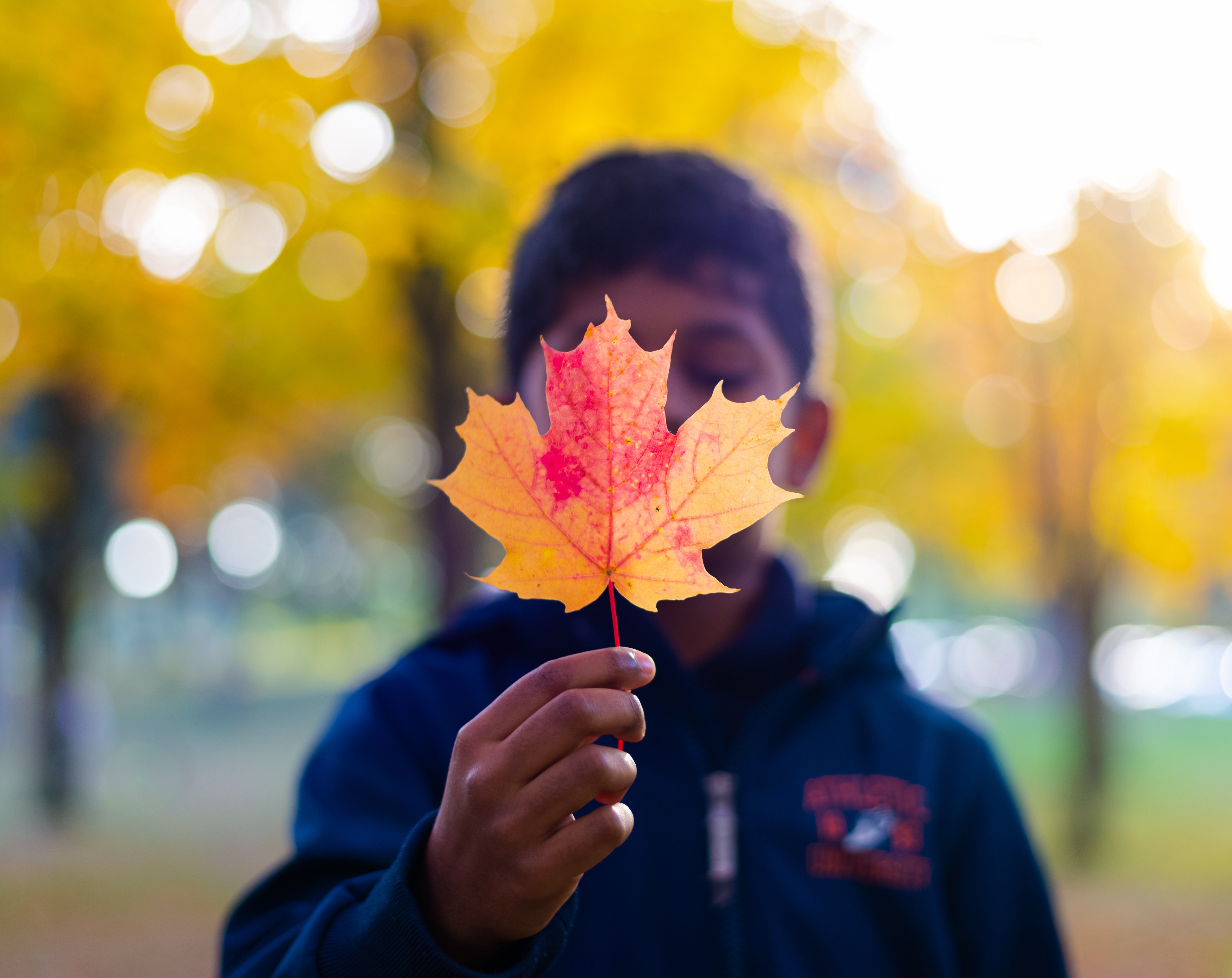 Boy showing maple leaf