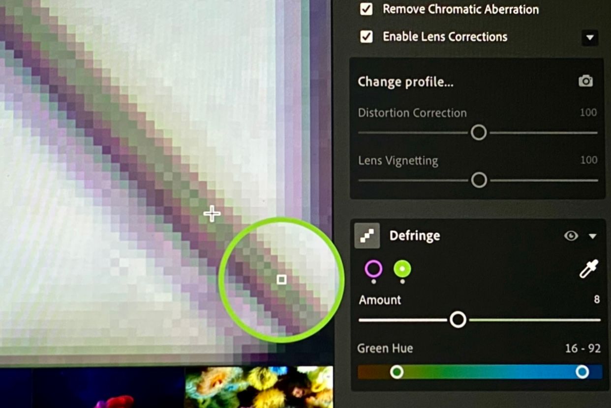 ابزار حذف رنگ انتخابگر رنگ در Adobe Light با رنگ سبز مشخص شده است