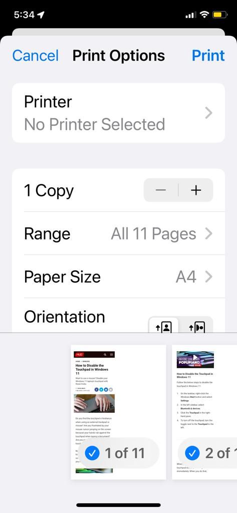Configuring the Settings in the Print Options window and Printing the Webpage in Chrome for iOS