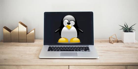 12 NEW Linux Distros That Launched in 2022