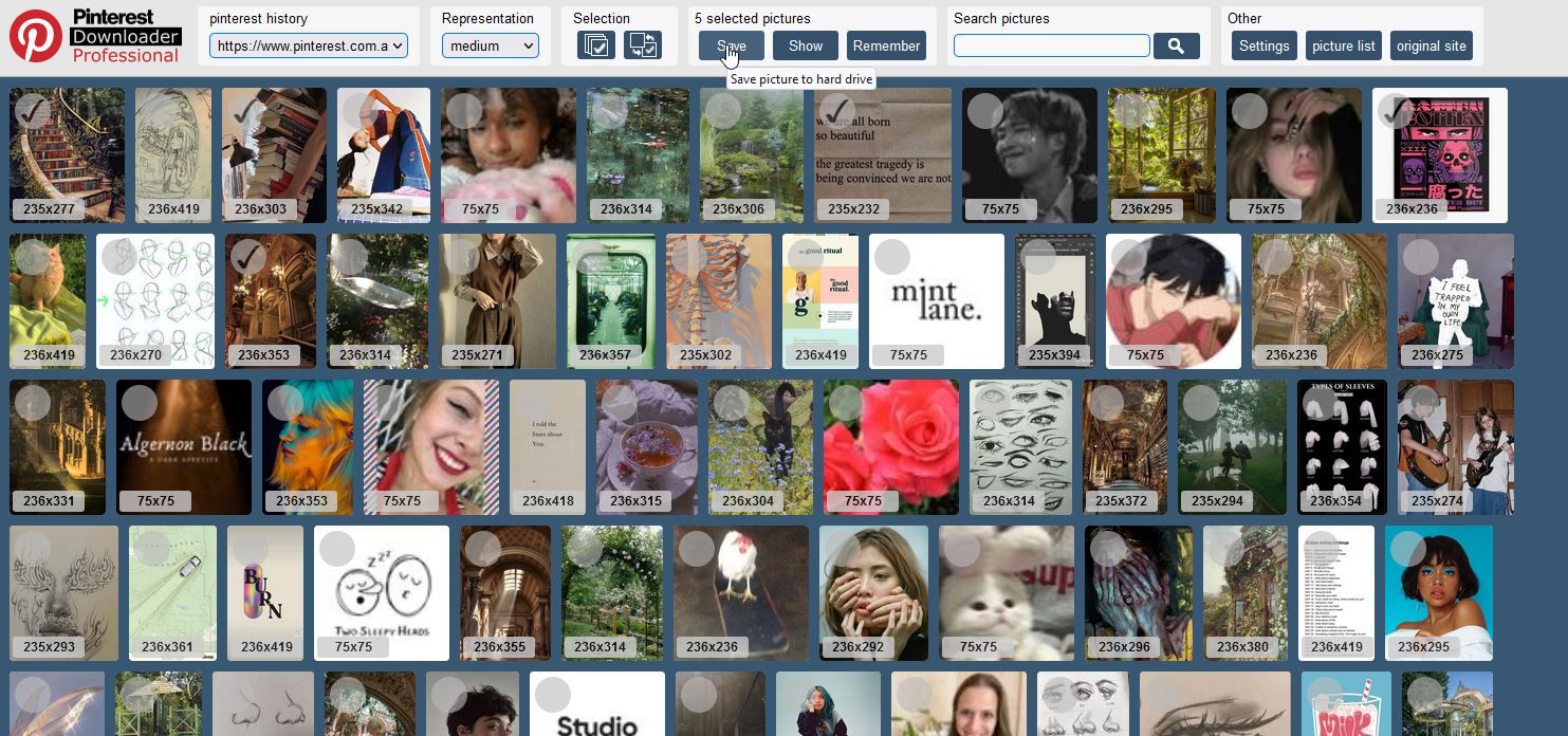A Screenshot of Pinterest Downloader Professional  in Use