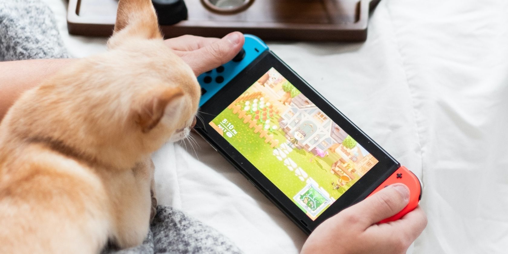 Playing Nintendo Switch with Dog