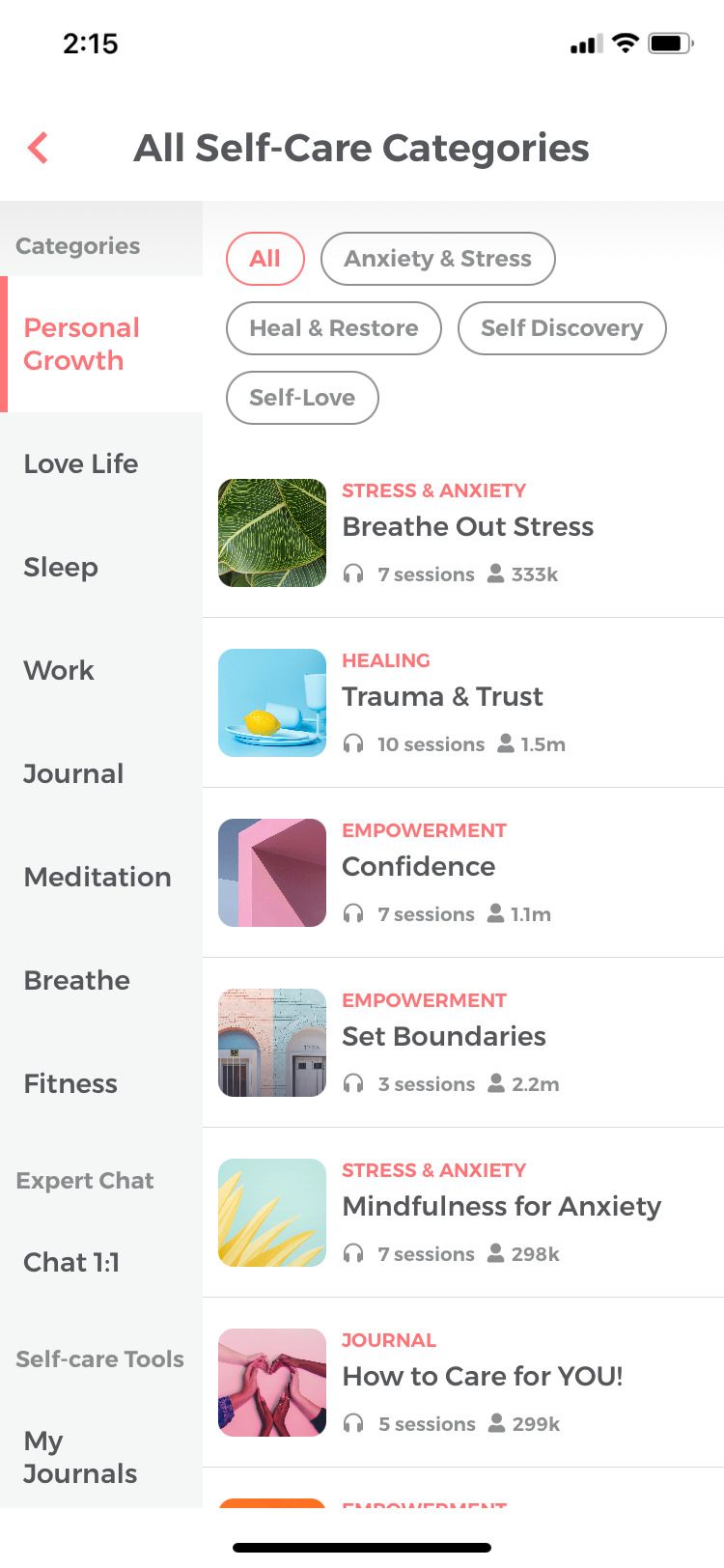 Sanity & Self App self-care categories