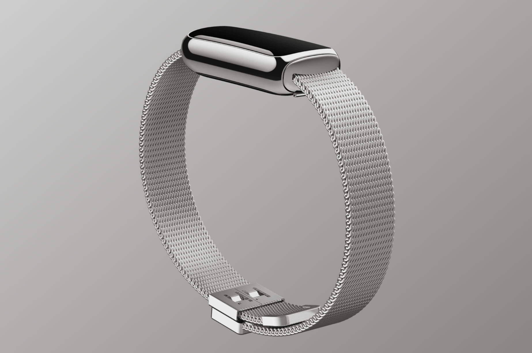 Fitbit Luxe Mesh Strap