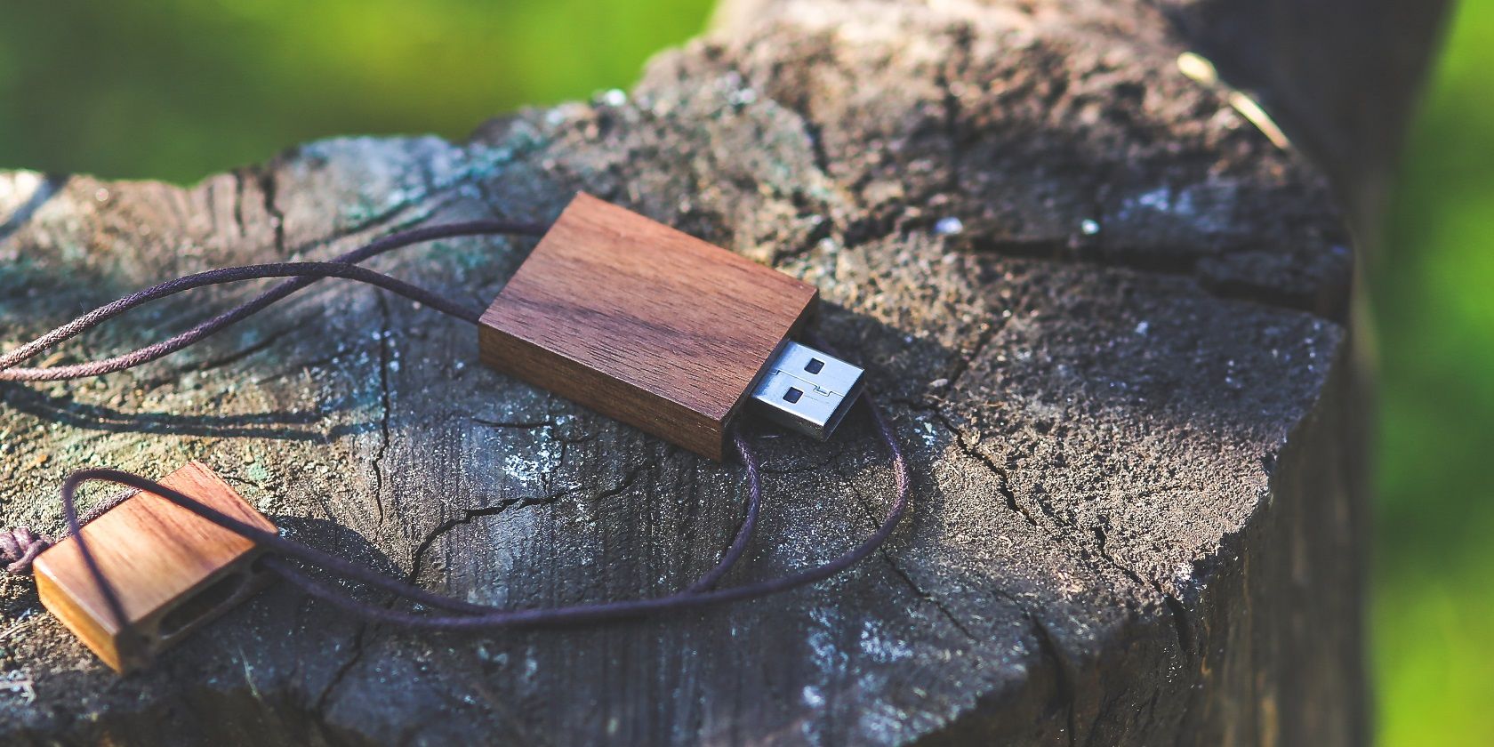 A wooden USB flashdrive on a tree stump