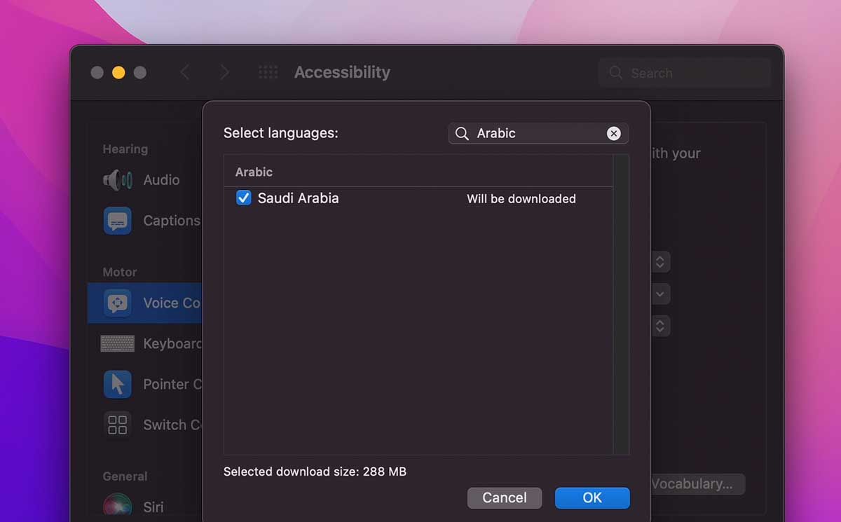 Adding another language to Voice Control on Mac