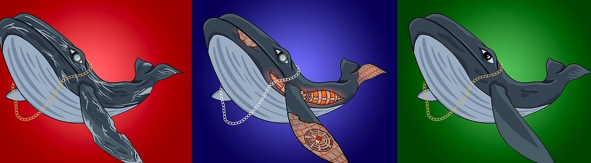 blue-whale nfts