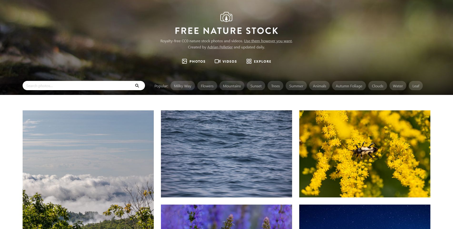 free nature stock