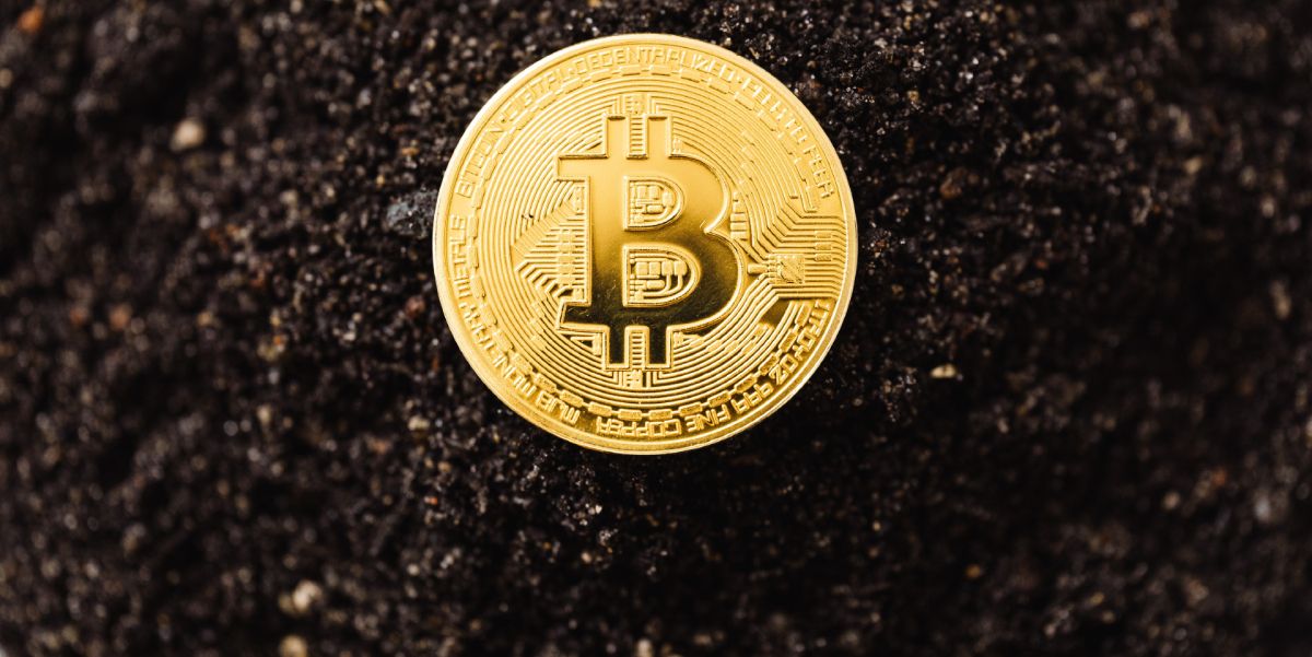 gold bitcoin coin on dirt