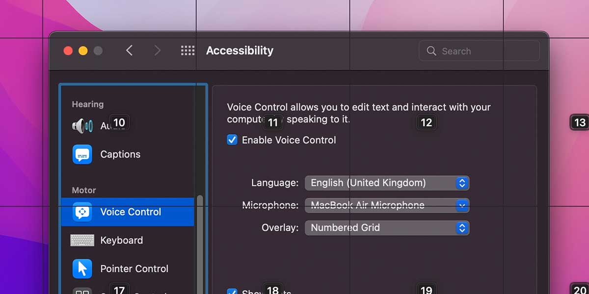 Grid Overlay in Voice Control on Mac