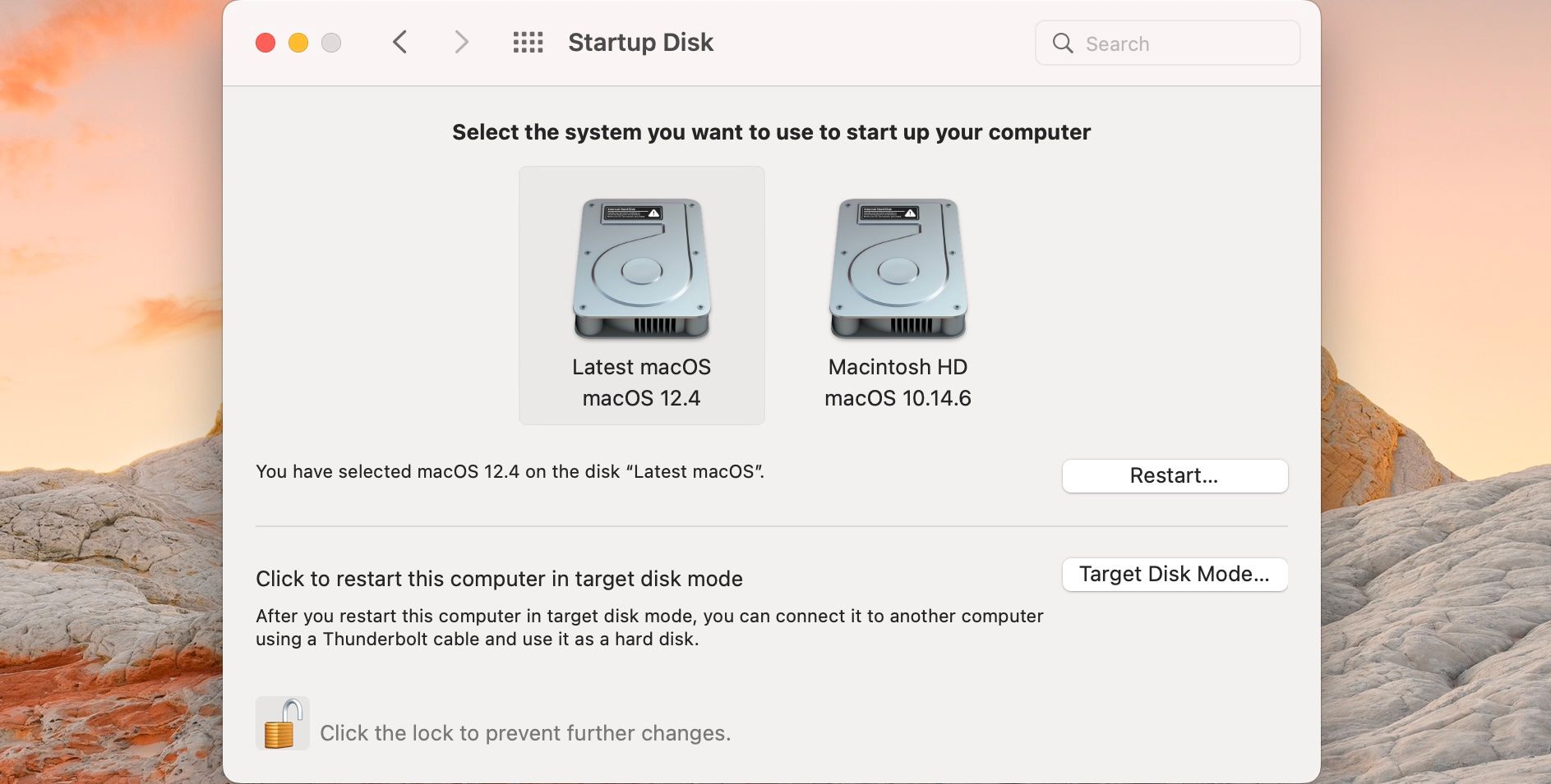 mac os startup disk download