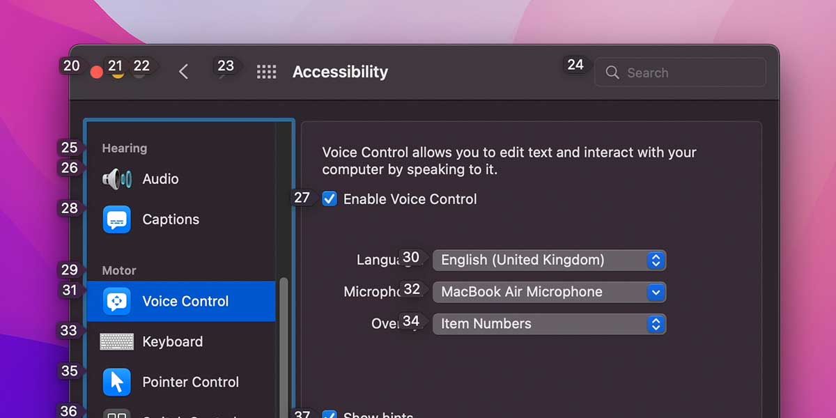 Numbered Screen Overlay in Voice Control on Mac