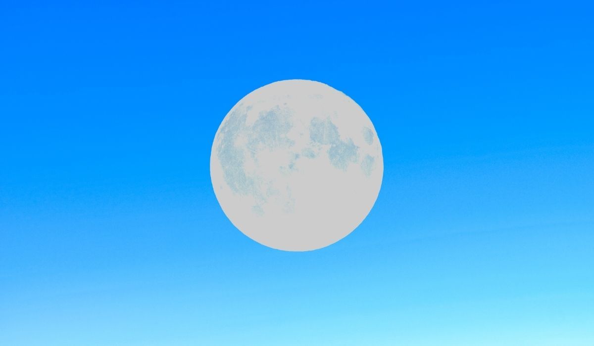 The Pale Moon browser logo on a blue background