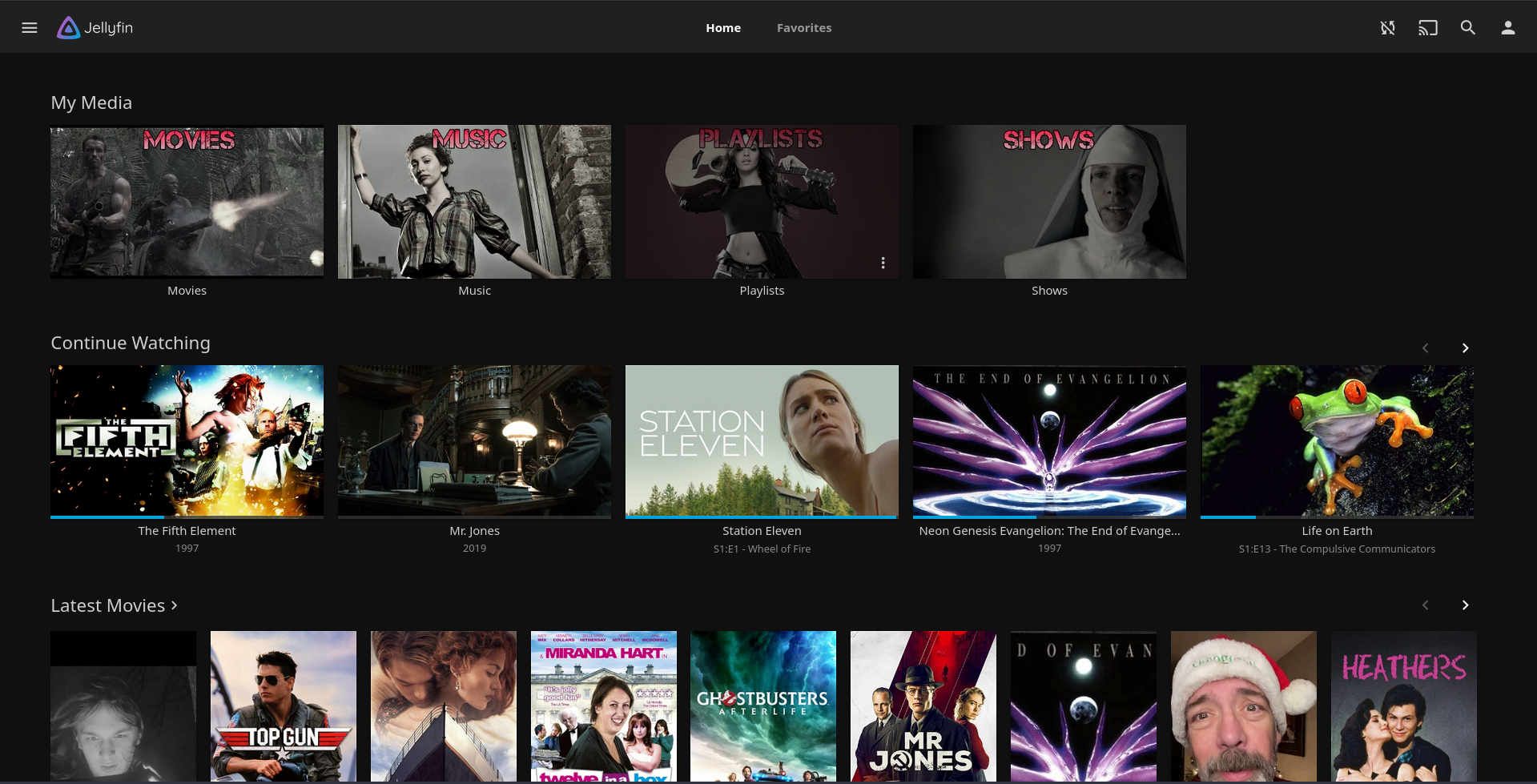 Jellyfin homescreen with sections for films, music, audiobooks and YV shows