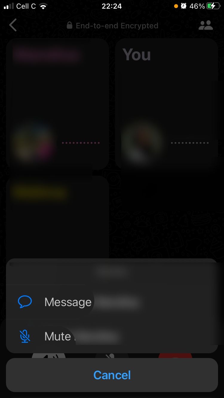 how-to-mute-or-message-someone-during-a-whatsapp-group-call