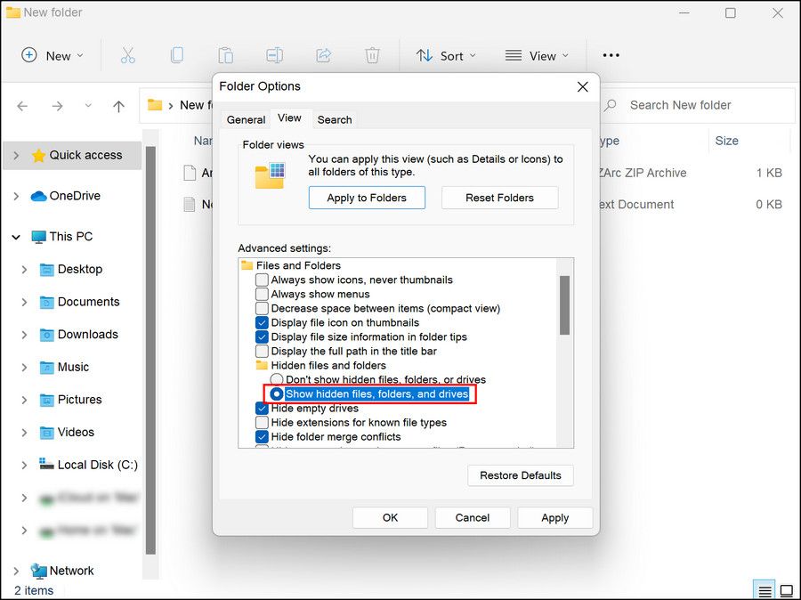 Show hidden files and folders in the File Explorer