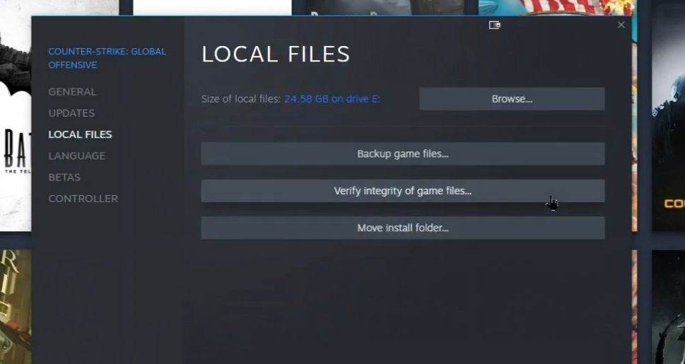 The Verify integrity of game files option