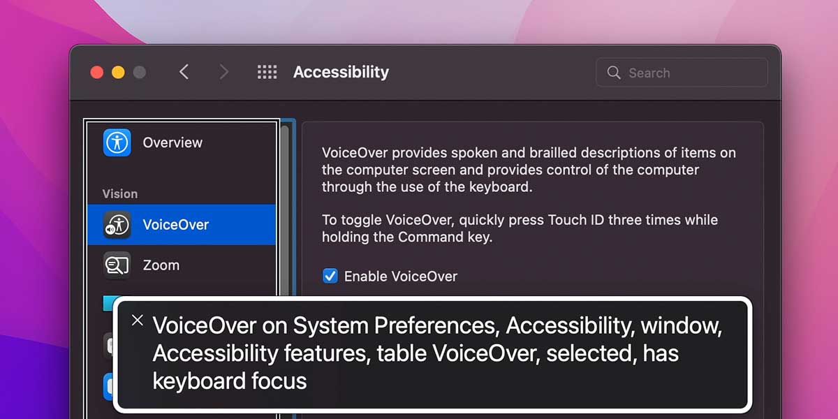 VoiceOver feature on Mac