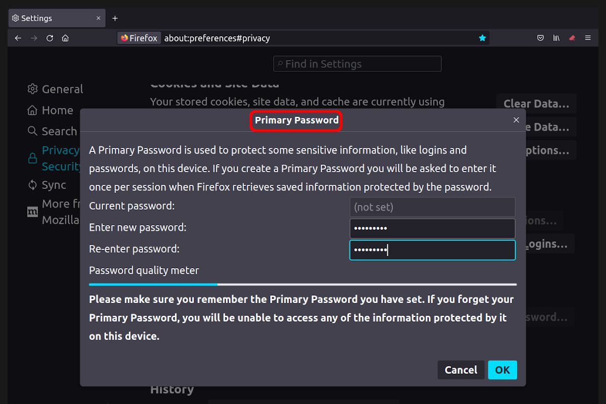 Setting a primary password in Firefox browser