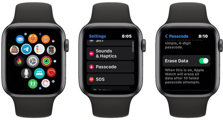 Apple Watch Enable Erase Data