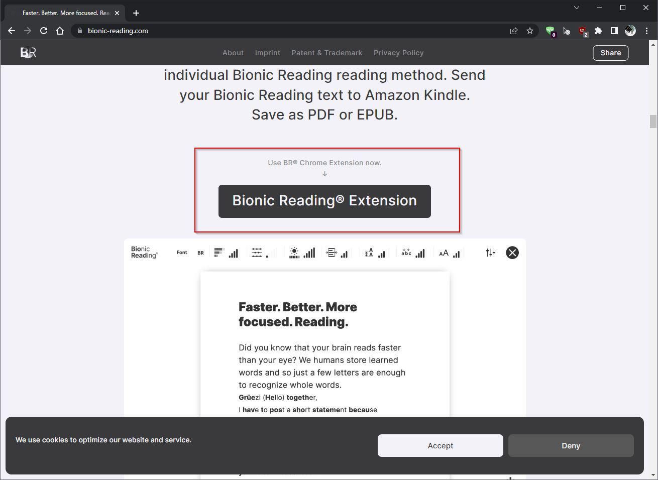 Bionic Reading Chrome Extension