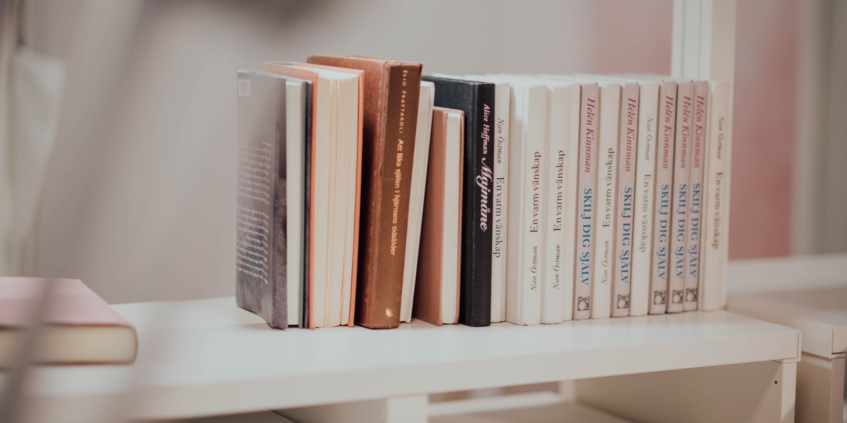 Books sitting on a shelf