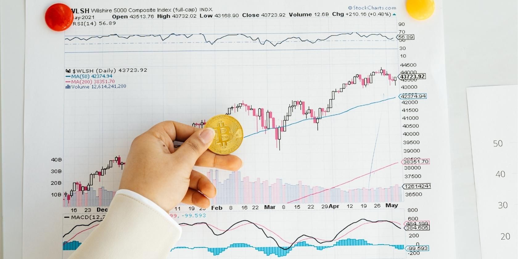 Hand holding bitcoin on chart pattern