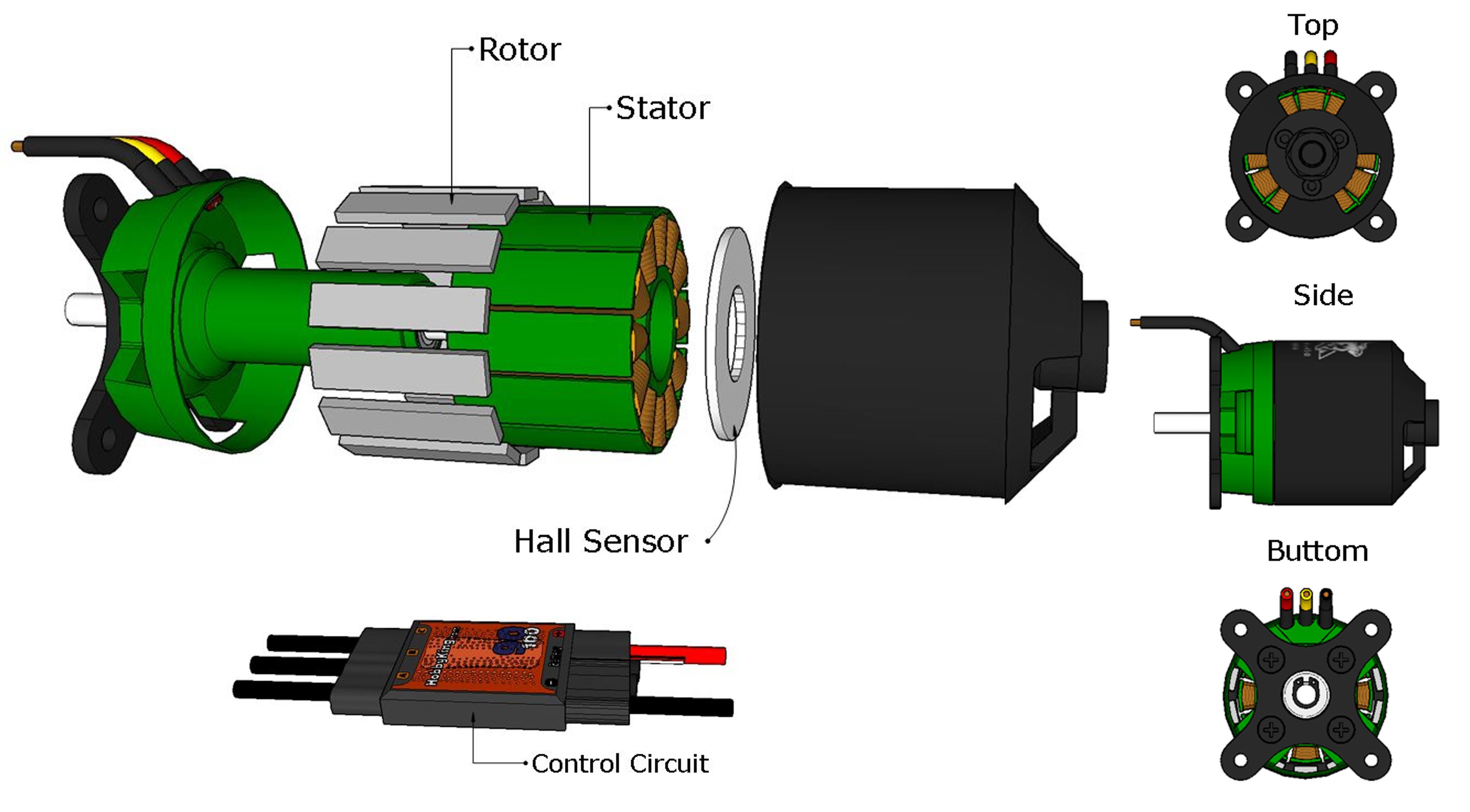 File:Stator Winding of a BLDC Motor.jpg - Wikimedia Commons