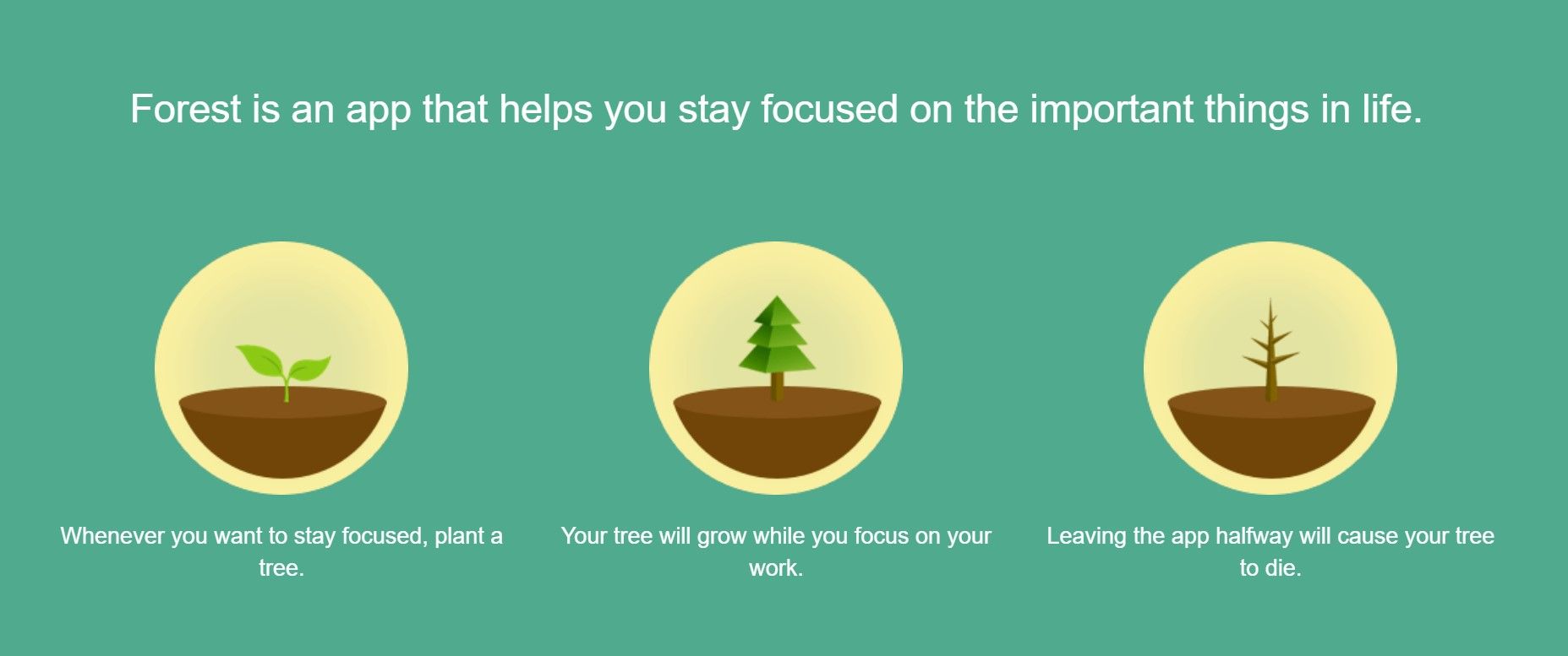 Forest landing page