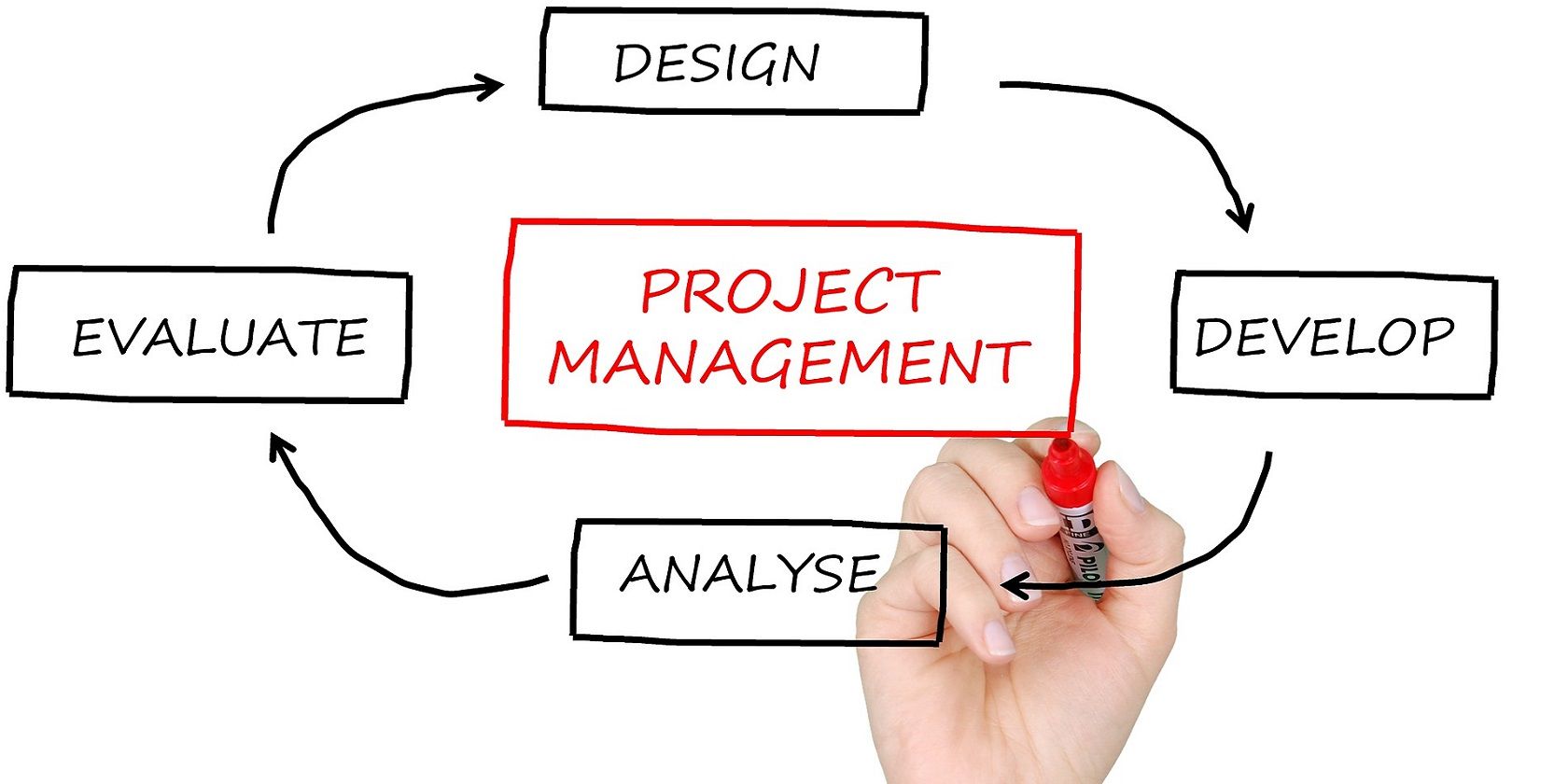 Image of project management cycle