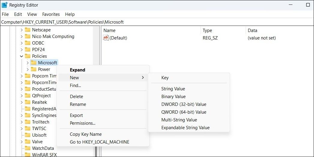 Microsoft Key in the Registry Editor window