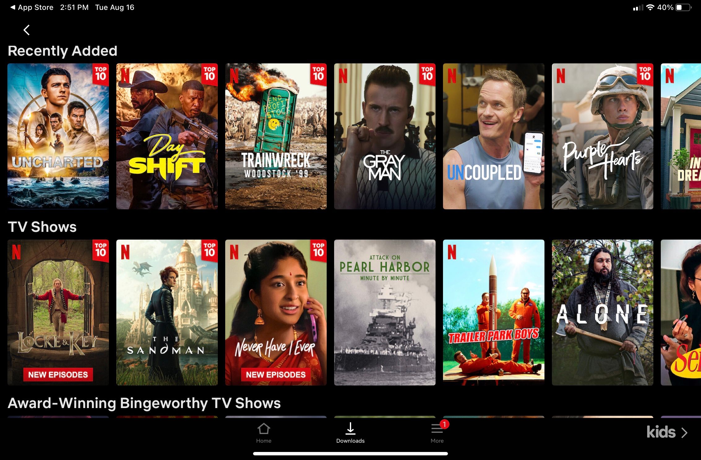 Netflix Download Content Options- Includes Recently Added and TV Shows section