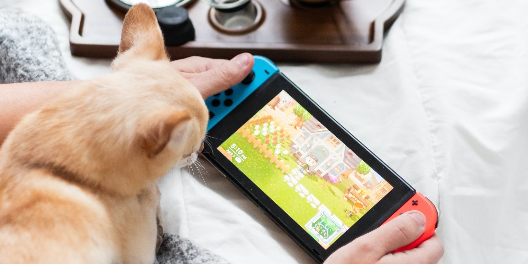 Person playing Animal Crossing New Horizons with dog