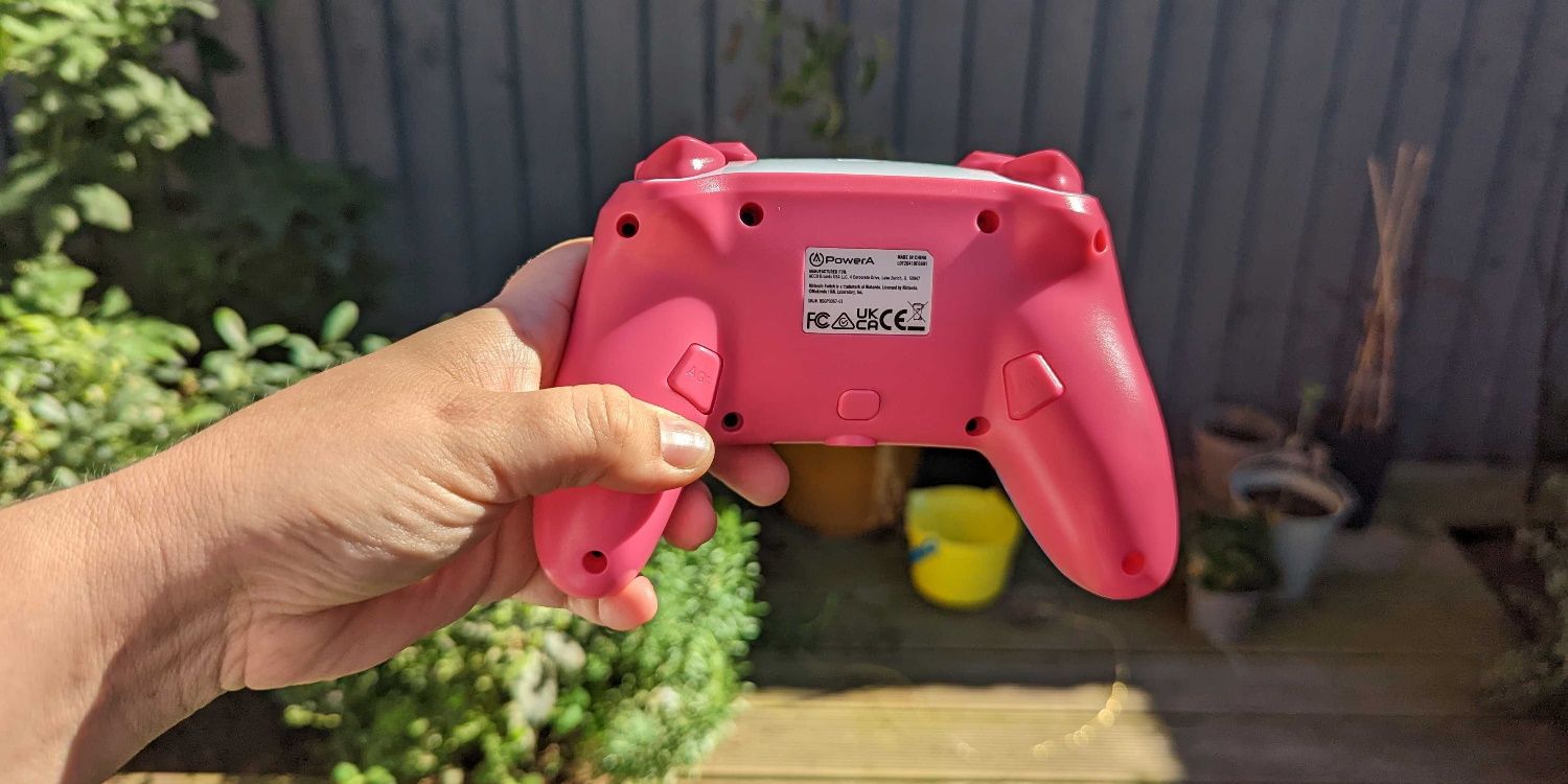 PowerA kirby controller mappable buttons