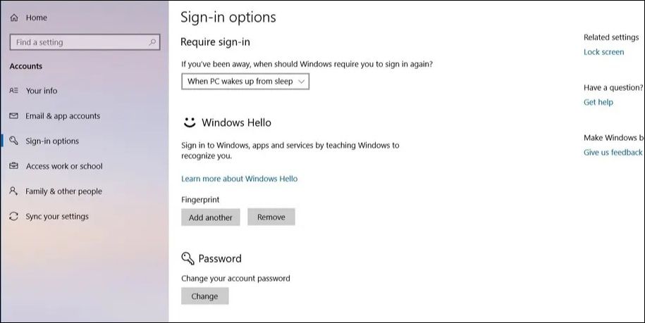 Windows Sign-in Options window