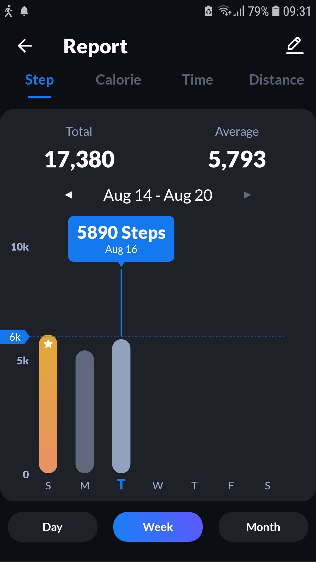 Leap Fitness Step Tracker mobile app report