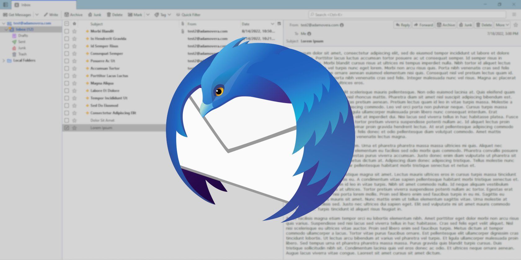 The Thunderbird logo with a darkened and blurred screenshot of the application in the background.