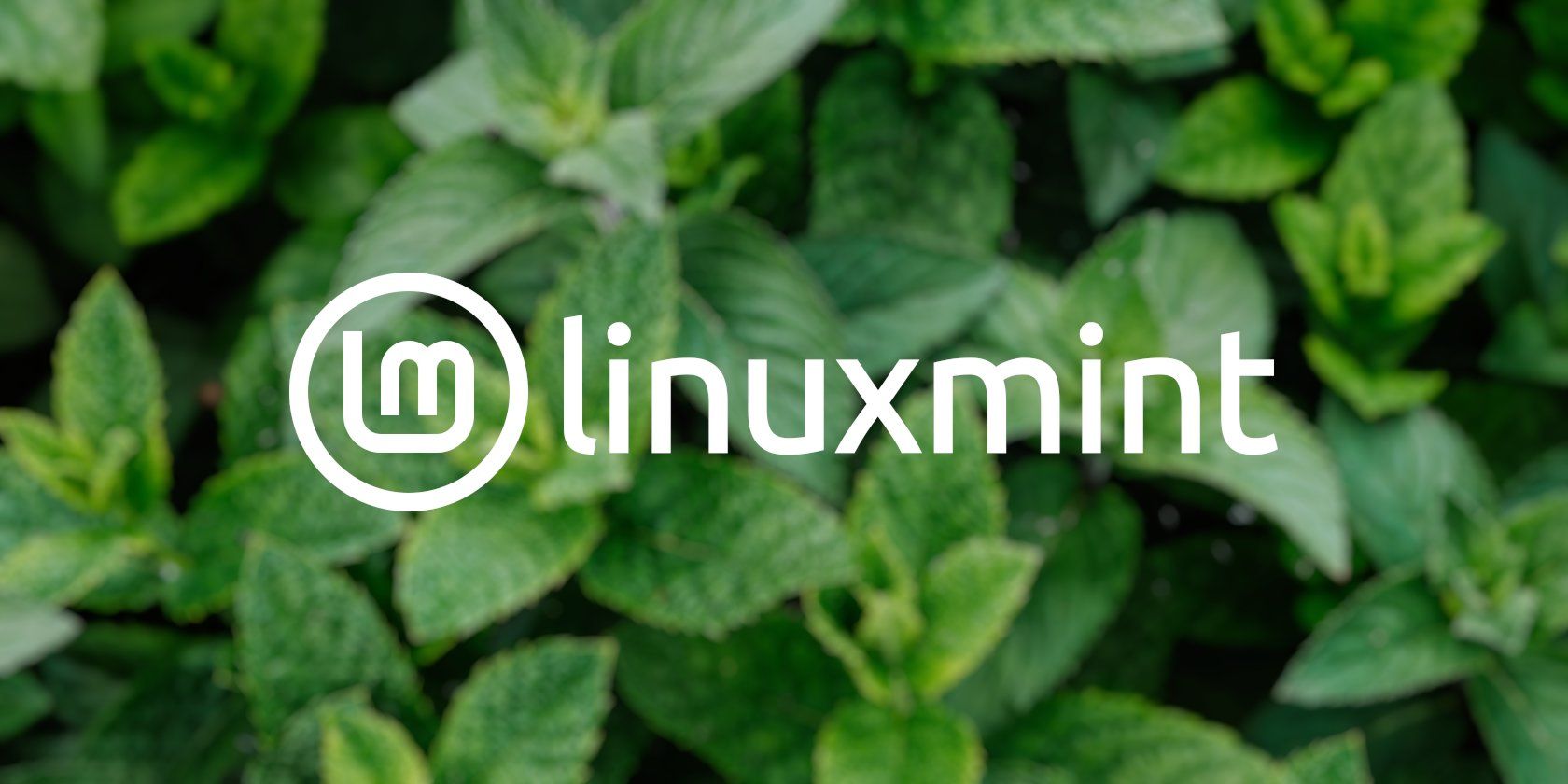 The Linux Mint logo in white with a darkly blurred patch of mint leaves in the background.