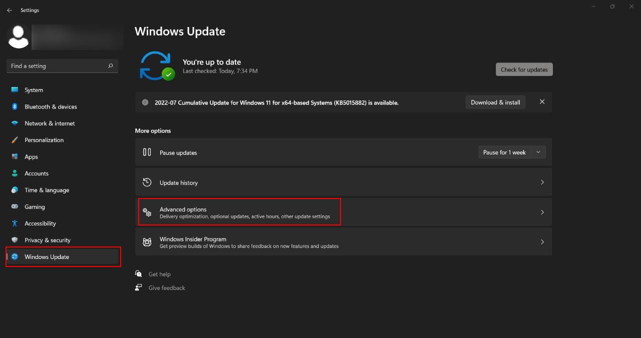 Advanced Options in Windows Update Settings